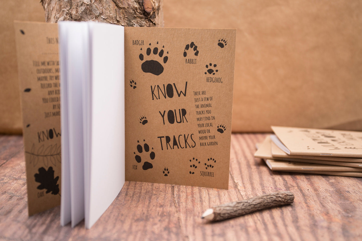 Children’s Nature Journal