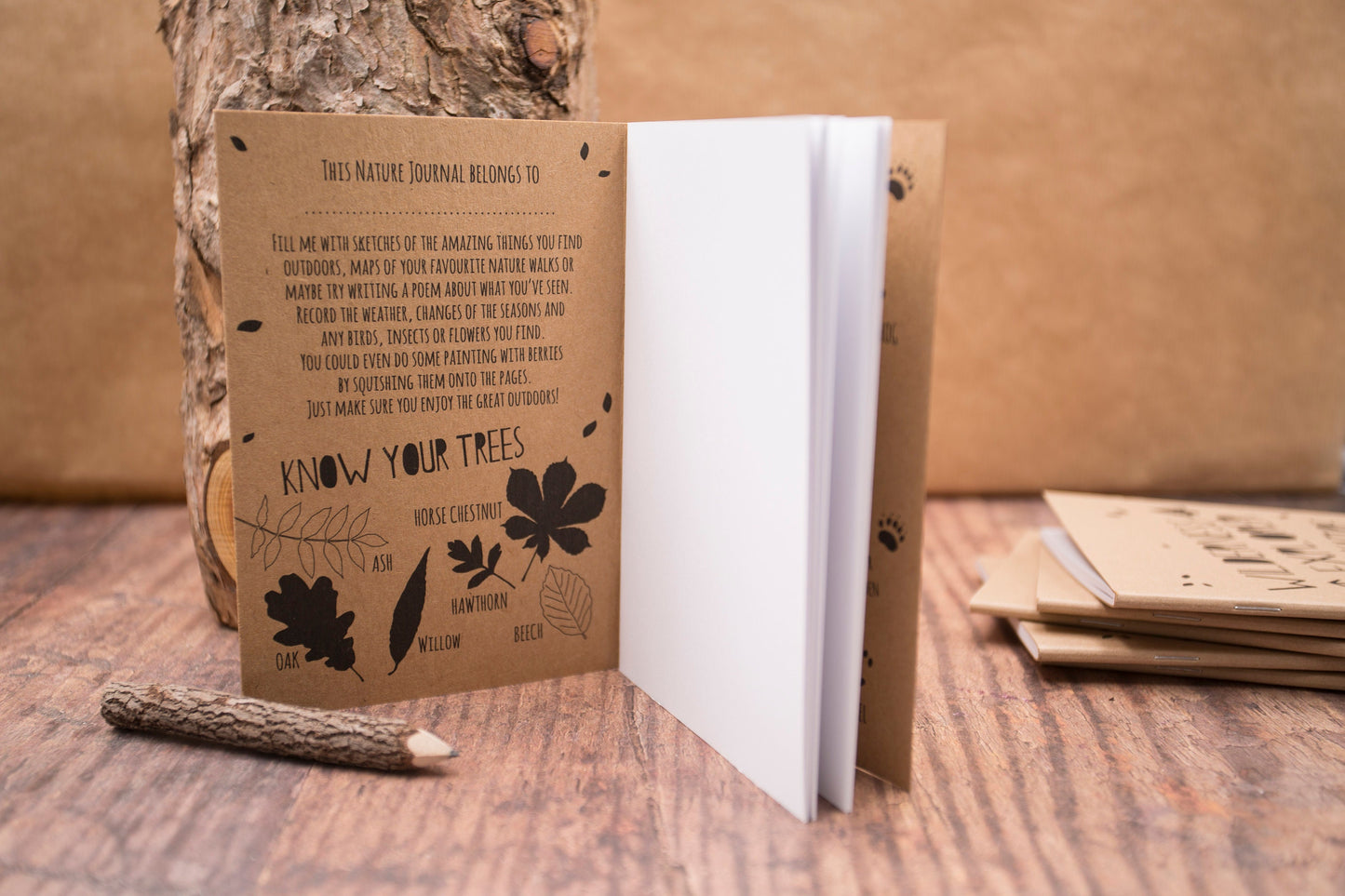 Children’s Nature Journal