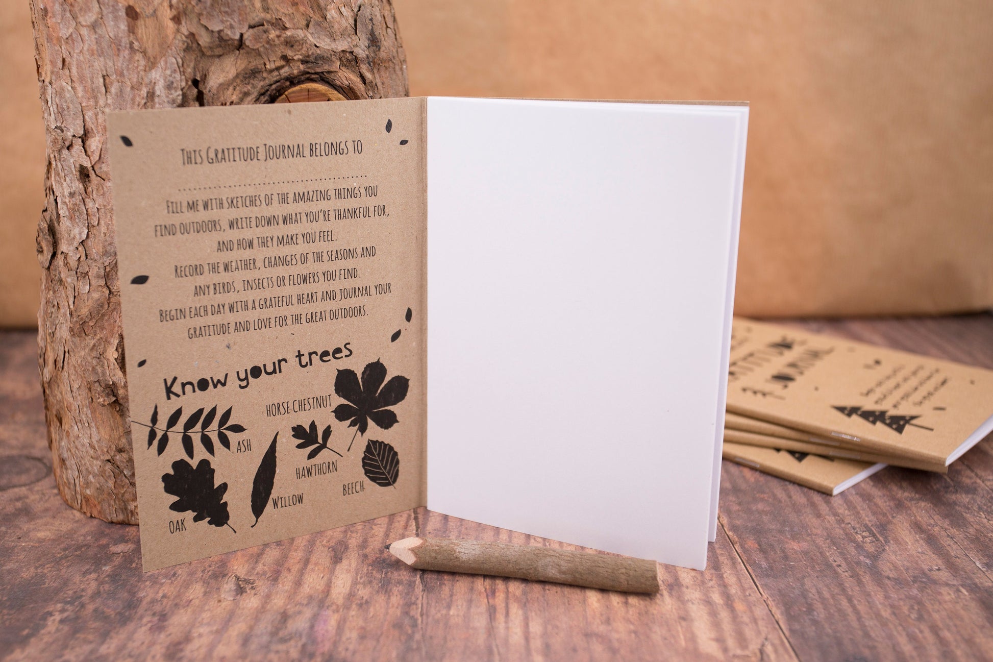 Kraft children's gratitude journal with blank pages